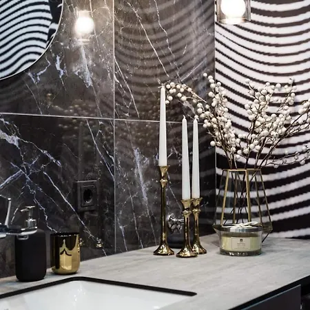 Brand New Bond Center Apartamento Vilna